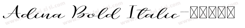 Adina Bold Italic字体转换